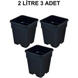 Grow Wizard Plastik Kare Saksı 2 Litre 3 Adet