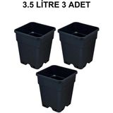 Grow Wizard Plastik Kare Saksı 3.5 Litre 3 Adet
