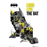 Grupo Erik DC Comics Poster - Batman Posteri - 80. Yıl Dönümü Posteri - Sanatsal Baskı - Dekorasyon Oturma Odası veya Yatak Odası - Boyut: 61 x 91 - Resmi Lisans - The Batman Taraftar Ürünü