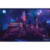 Grupo Erık Harry Potter Hogwards Maxı Poster