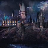 Grupo Erik Harry Potter Poster