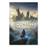 Grupo Erik Poster Harry Potter Hogwarts Legacy Duvar Dekorasyonu 61 x 91,5 cm