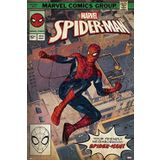 Grupo Erik Poster Marvel Spider-Man Comic des