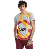 GS Store E88153 Gri Galatasaray Büyük Logolu Tee Erkek T-shirt