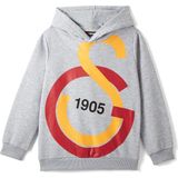 Gs Store Galatasaray Büyük Logolu Çocuk Sweatshirt C88154 - Gri Melanj
