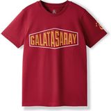 Gs Store Galatasaray Çocuk T-Shirt C252097 - Bordo - 13 - 14