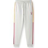Gs Store Galatasaray Erkek Eşofman Alt E252125 - Gri