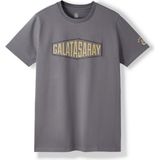 Gs Store Galatasaray Erkek T-Shirt E252097 - Antrasit - XS
