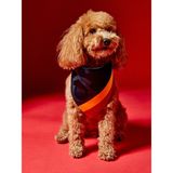 Gs Store Galatasaray Pet Bandana U251611 - Siyah