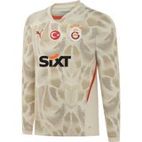 Gs Store Galatasaray Puma 2024/2025 Kaleci Gri Forma 77967206 - XL