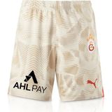 GS Store Galatasaray Puma 2024/2025 Kaleci Gri Şort 77967506 - XL