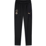 GS Store Galatasaray Puma A Takım Antrenman Eşofman Alt 78289410 - Siyah