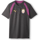 Gs Store Galatasaray Puma Antrenman T-Shirt 78680505 - Antrasit