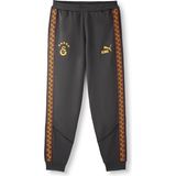 Gs Store Galatasaray Puma Kıng Eşofman Alt 78685419 - Antrasit
