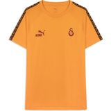 Gs Store Galatasaray Puma King T-Shirt 78292406 - Sarı - 3XL