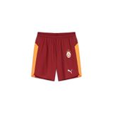 GSStore Galatasaray Puma 2025/2026 İç Saha Parçalı Profesyonel Şort 77982101