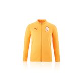 GSStore Galatasaray Puma A Takım Antrenman Ceket 77968711