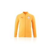 GSStore Galatasaray Puma A Takım Antrenman Ceket 77968711