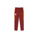 GSStore Galatasaray Puma A Takım Eşofman Alt 78290301