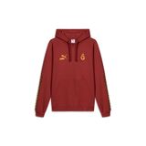 GSStore Galatasaray Puma King Kapüşonlu Sweatshirt 78293501