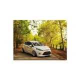 Gtm Otomotiv Ford Fiesta Ön Tampon Eki 2009/2013 - Mat Siyah
