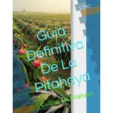 Guía Definitiva De La Pitahaya: Cultivo De Pitahaya