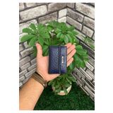 Guard Lacivert Croco Desenli Hakiki Deri Lastikli Spor Kartlık Erkek P1041