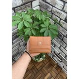 Guard Taba Hakiki Deri Madeni Para Bölmeli Kadın Cüzdan // GRD260225WT964 - Standart