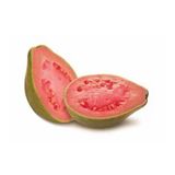 GUAVA MEYVESİ TOHUMU