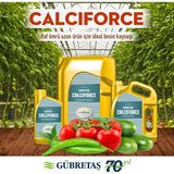Gübretaş Calciforce Sıvı Gübre 1 Litre