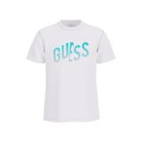 Guess Gradient Erkek Regular Fit T-Shirt F6GI02J1314, Beyaz, XL