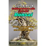 Guida alla Coltivazione e alla Cura dei Bonsai: Impara cosa fare per coltivare incantevoli Bonsai