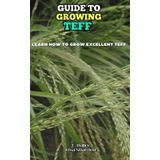Guide to Growing Teff: Learn how to grow excellent Teff