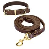 Guiding Star 6ft Deri Köpek Tasma ve Tasma Seti, Yumuşak Örgülü Deri Köpek Tasması Ayarlanabilir Köpek Tasması, Ağır Hizmet Deri Köpek Tasması ve Tasma Seti Küçük Orta Büyük Köpekler için Kombo