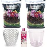 Gül Çiçek Sarayı Ithal Kaliteli Orkide Toprağı, Orkide Vitamini, Orkide Saksısı Tabağı Ayrı, Kristal Orkide Saksısı, Orkide Canlandırma, Orkide Çiçek Açtırma Seti
