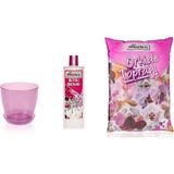 Gül Çiçek Sarayı Orkide Bakım Seti Toprağı + Vitamini + Saksısı