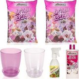 Gül Çiçek Sarayı Orkide Çiçek Bakım Seti, Orkide Vitamini, Orkide Toprağı, Orkide Saksısı