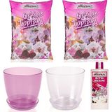 Gül Çiçek Sarayı Orkide Set, Orkide Toprağı, Orkide Vitamini, Orkide Saksısı, Orkide Besini