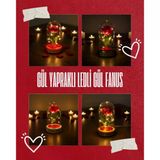Gül Yapraklı Ledli Gül Fanus