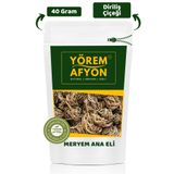 Gülçehre Suyla Hayat Bulan Kadim Mucize Meryem Ana Eli Otu, Fatma Ana, Diriliş Çiçeği {Hierochuntica} | 40Gr.