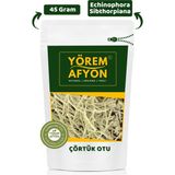 Gülçehre Yörem Afyon Çörtük Otu | Aydın Yöresinden Doğal Tarhana Otu Dorak Echinophora Sibthorpiana | 45Gr - 45 gr