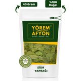Gülçehre Yörem Afyon Doğanın Arındırıcı Mührü & Negatif Enerjiye Karşı Kalkan Hakiki Sidr Yaprağı (Sedir – Sidir) | 40GR. - 40 gr