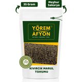 Gülçehre Yörem Afyon Sakarya Yöresinden Çimlendirilebilir Iri Yapraklı Kıvırcık Marul Tohumu (Lactuca Sativa) | 35GR. - 35 gr