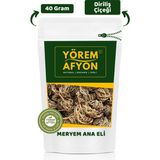 Gülçehre Yörem Afyon Suyla Hayat Bulan Kadim Mucize Meryem Ana Eli Otu, Fatma Ana, Diriliş Çiçeği (Hierochuntica) | 40GR. - 40 gr