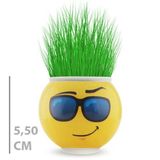 Gülcenin Dükkanı Çim Adam Saksı Emoji Figürlü 1 Adet