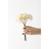 Güleç Yapay Çiçek Yapay Kasımpatı Çiçeği Krem 25 Cm 7 Dal