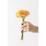 Güleç Yapay Çiçek Yapay Kasımpatı Çiçeği Pastel Sarı 25 Cm 7 Dal Çok Renkli