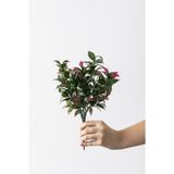 Güleç Yapay Çiçek Yapay Limon Yaprağı Demeti Yeşil Pembe 30 Cm 7 Dal(Uv)