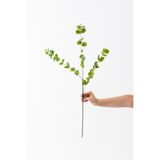 Güleç Yapay Çiçek Yapay Okaliptus Dalı 80 Cm 3 Dal