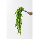 Güleç Yapay Çiçek Yapay Okaliptus Sarmaşık (uv) Korumalı Açık Yeşil 70 Cm 5 Dal (uv) Çok Renkli